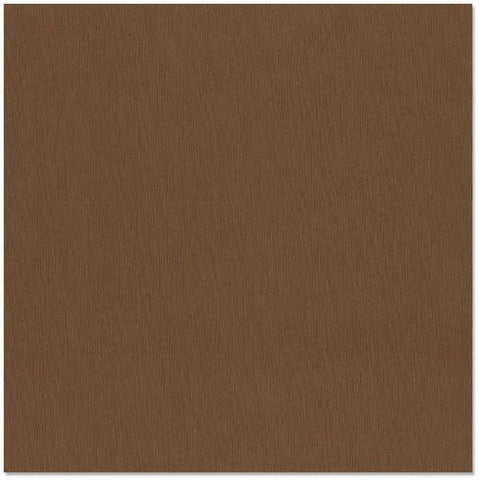 Fourz Cardstock - Carob