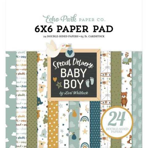 Special Delivery Baby Boy - 6x6 Paper Pad