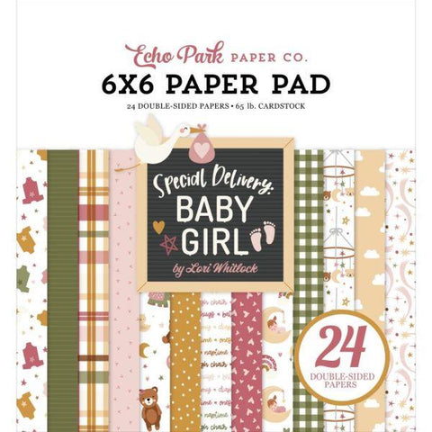 Special Delivery Baby Girl - 6x6 Paper Pad