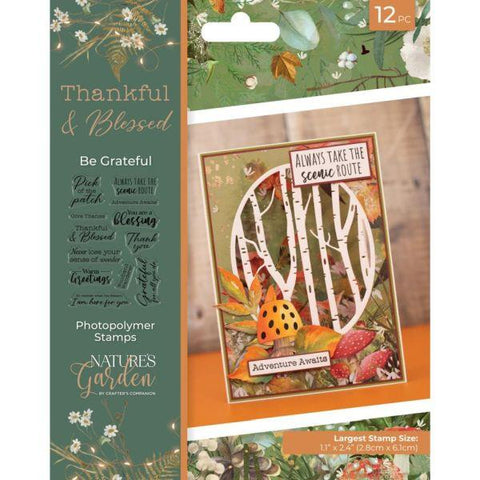 Thankful & Blessed - Be Grateful - Clear Stamps