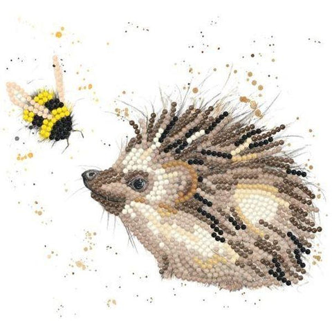 Sparkle Art Card Kit - Brackn and Bumble