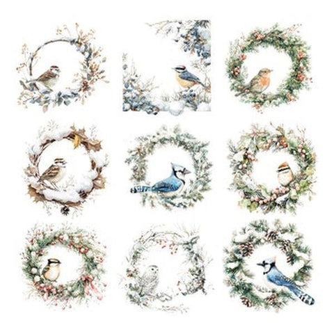 Winter Birds - Ephemera - Frames