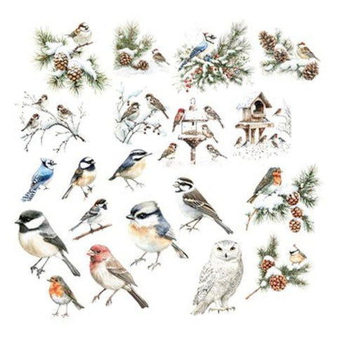 Winter Birds - Ephemera - Birds