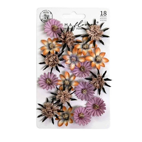 Bewitched - Flowers - Witch Hazel