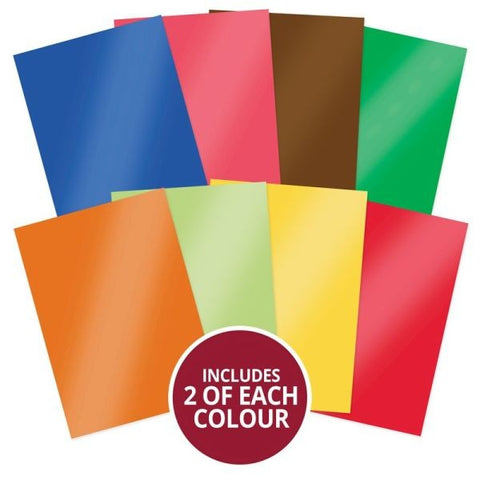 Quirky Animals - Mirri Selection