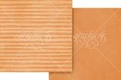 Scenic Route - Vibrant Orange