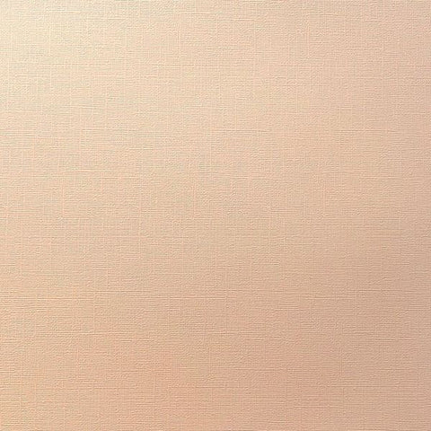 Canvas Texture Cardstock - Peach Whisper