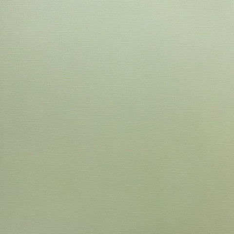 Canvas Texture Cardstock - Pistachio