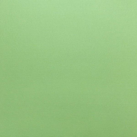 Canvas Texture Cardstock - Lime Sherbet