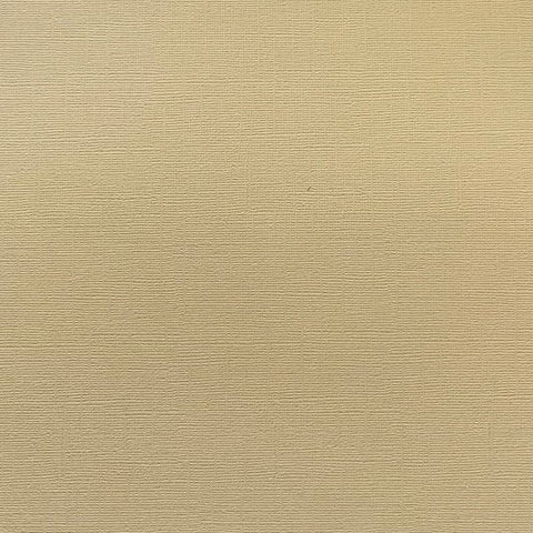 Canvas Texture Cardstock - Winter Wheat