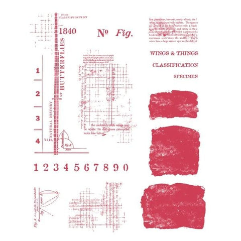 Wings & Things - Clear Stamps