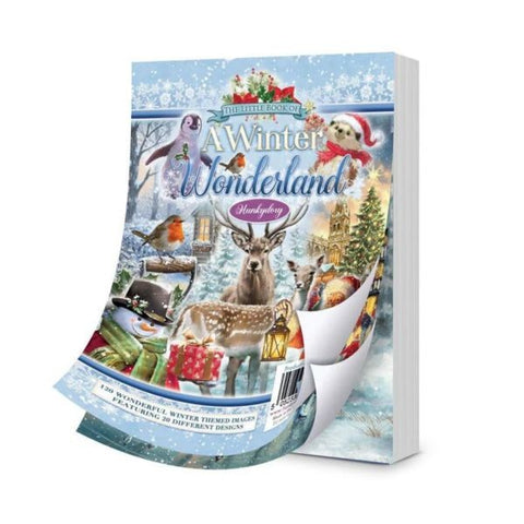 The Little Book of A Winter Wonderland