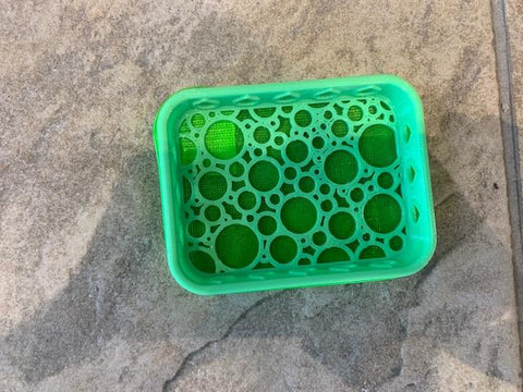 Shammy Case - Green Bubbles