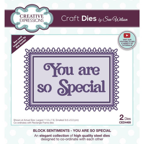 Block Sentiments - You are so Special - Dies