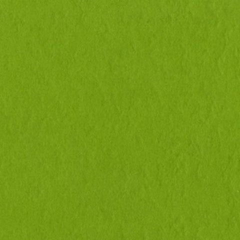 Fourz Cardstock - Intense Kiwi